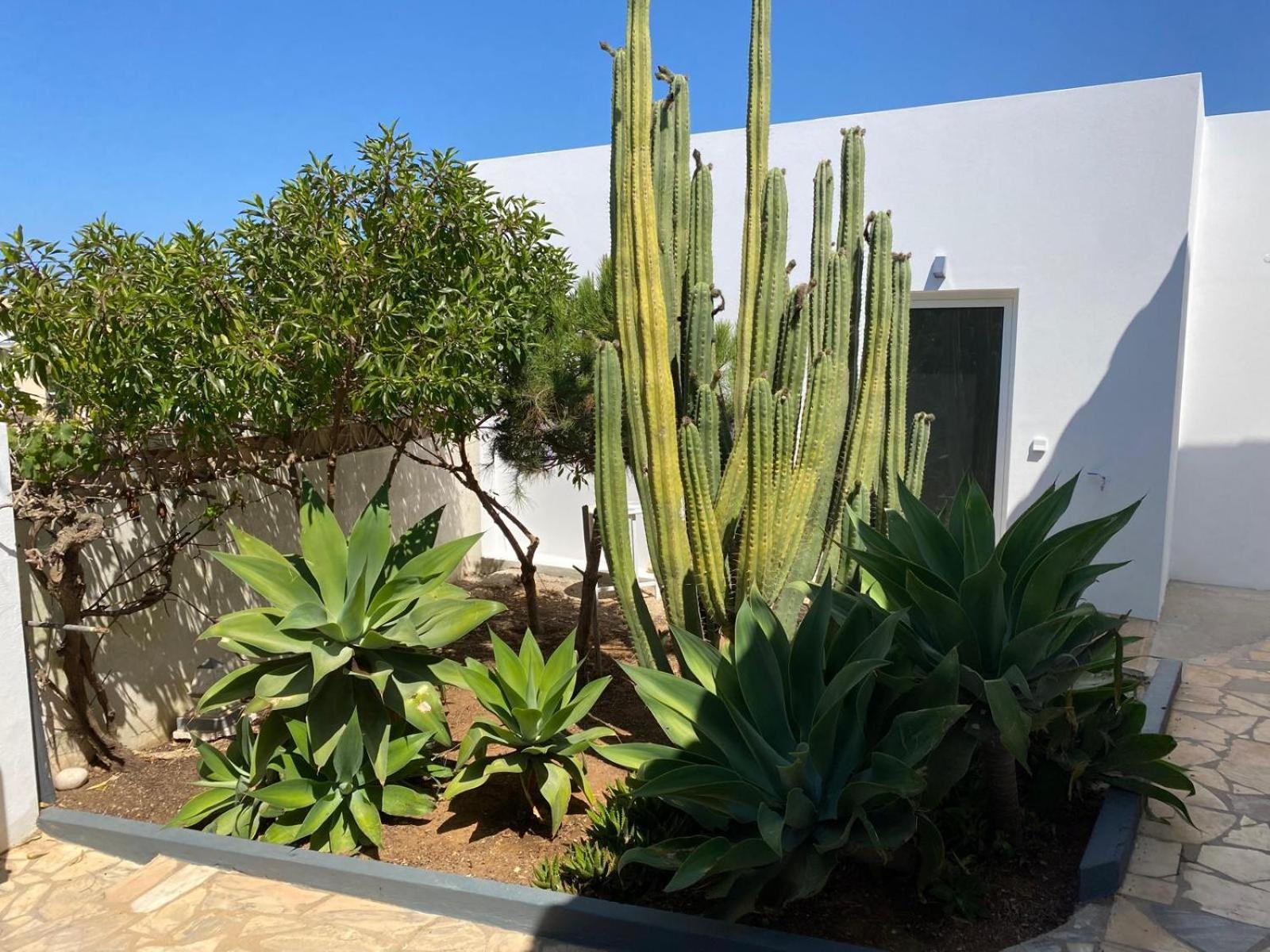 Casa La Isla Leilighet Sagres Eksteriør bilde